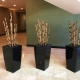 Bamboo Arrangement